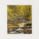Search for smokey mountain art Foliage