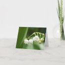 Search for valleys cards Bride