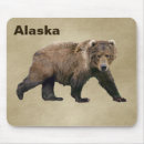 Search for grizzlies electronics Bear