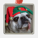 Search for pug decor Pets