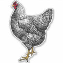 Search for vintage black and white illustration stickers Animals