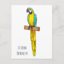 Search for ara postcards Macaw
