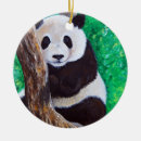 Search for panda bear christmas tree decorations Pandas