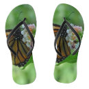 Search for monarch butterfly shoes Nature