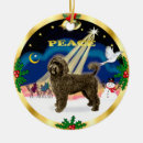 Search for portuguese christmas decor Pets
