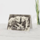 Search for baby messages for cards Girl