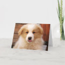 Search for akc dog cards Animal