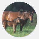 Search for mare and foal stickers Thoroughbred
