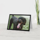 Search for grandsons 21st birthday cards Photography