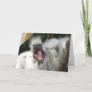 Search for happy little birds cards Nature