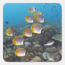 Search for school of fish stickers Nature