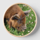 Search for pig pic art Cute