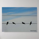 Search for birds wire birds wire art Animals