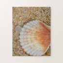 Search for sea shell puzzles Vacation