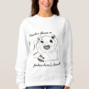 Search for polarbear Nature