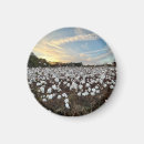 Search for cotton magnets Home