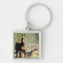 Search for pastural key rings Animal