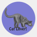 Search for grey cat stickers Kittens
