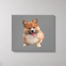 Search for cute corgi art Pets
