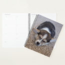 Search for corgis office supplies Cute