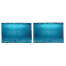 Search for rays home living Sea