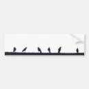 Search for crow bumper stickers Bird