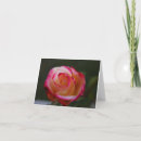 Search for beautiful rose cards Pink