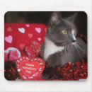 Search for sweet cats electronics Hearts