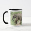 Search for asian elephant mugs National park