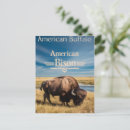 Search for wildlife art postcards Elegant