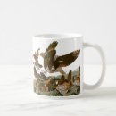 Search for audubon mugs Outdoors
