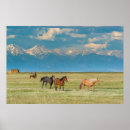 Search for howie posters Danita delimont