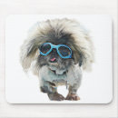 Search for the pekingese electronics Animal