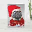 Search for pug mothers day cards Pet