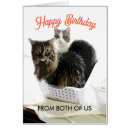 Search for from both of us cards Cats