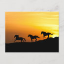 Search for horse lovers birthday cards Cowboy