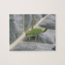 Search for cricket puzzles Animals