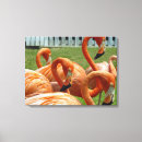 Search for pink orange art Animals