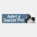 Search for tuxedo photography Pet