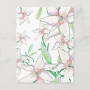 Search for white lily postcards Floral
