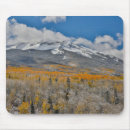 Search for aspen mousepads Mountains
