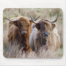 Search for calf mousepads Ranch