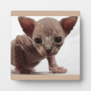 Search for ugly home decor Cat