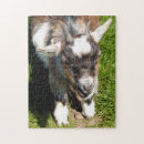 Search for goat puzzles Animals