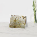 Search for sand note cards Floral