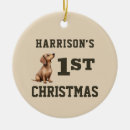 Search for puppys first christmas Cute puppy
