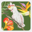 Search for hand drawing stickers Parrot