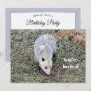 Search for marsupials invitations Animal