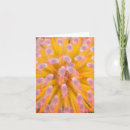 Search for macro note cards Pink