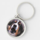 Search for border collie key rings Animal